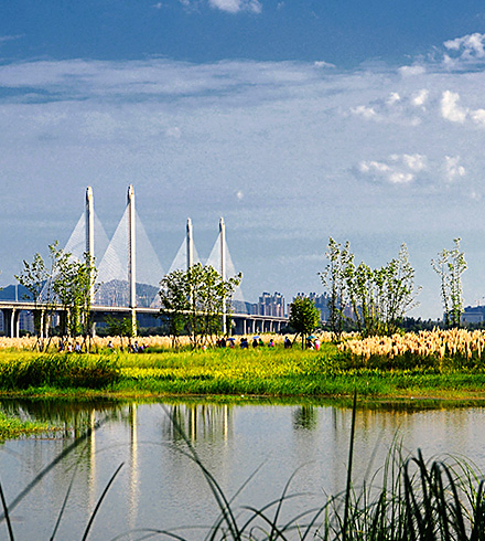 湖北襄陽月亮灣城市濕地公園